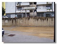 100_5067.JPG