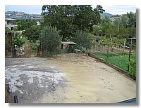IMG_0736.JPG