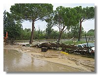 IMG_0752.JPG