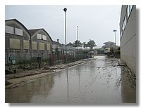 IMG_0754.JPG