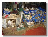 IMG_0840.JPG