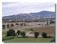 P1010003.JPG
