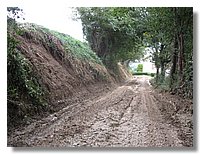 IMG_0269.jpg