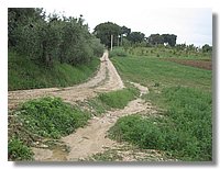 IMG_0298.jpg