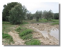 IMG_0299.jpg