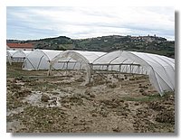 IMG_0312.jpg