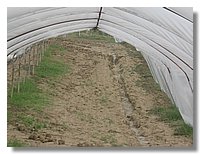 IMG_0318.jpg
