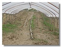 IMG_0320.jpg