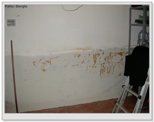 DSCN8620.JPG