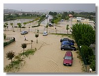 DSCN8585.JPG