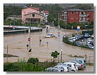 DSCN8591.JPG