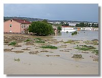 DSCN8598.JPG