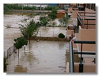 DSCN8599.JPG