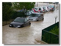 DSCN8603.JPG