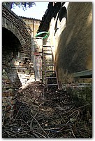 FOTO 050.jpg