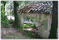 FOTO 053.jpg