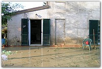 FOTO 087.jpg