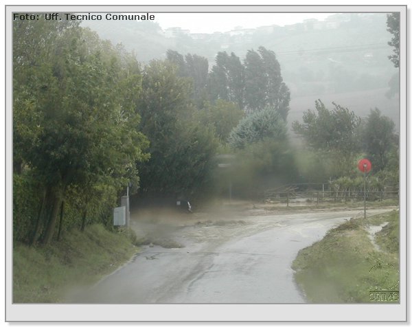 DSCN3471.JPG