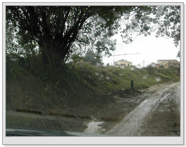 DSCN3486.JPG