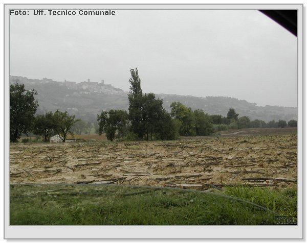 DSCN3488.JPG