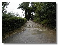 DSCN3465.JPG