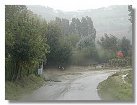 DSCN3471.JPG