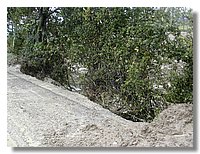 DSCN3476.JPG