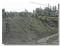 DSCN3478.JPG