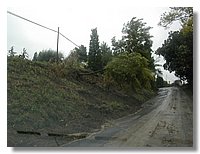 DSCN3479.JPG