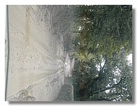 DSCN3480.JPG