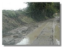 DSCN3484.JPG