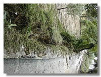 DSCN3485.JPG