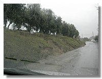 DSCN3489.JPG