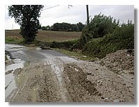 DSCN3495.JPG