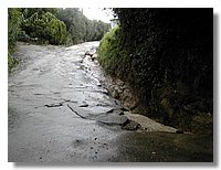 DSCN3497.JPG