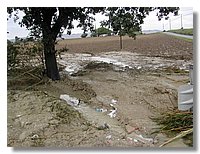 DSCN3499.JPG