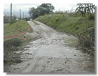 DSCN3501.JPG