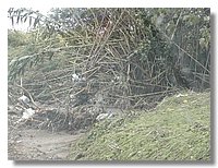 DSCN3503.JPG