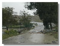 DSCN3506.JPG
