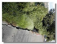DSCN3511.JPG