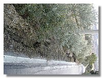 DSCN3512.JPG
