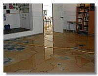 DSCN3515.JPG