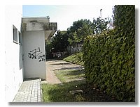 DSCN3520.JPG