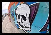 048 (Large).JPG
