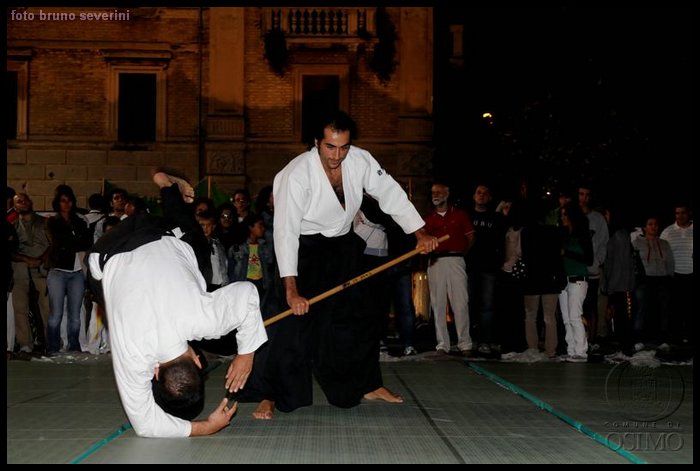 DSC_3132 (Medium).JPG