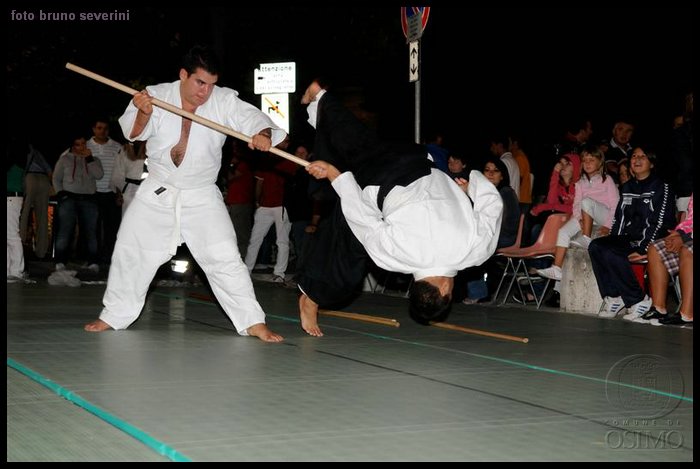 DSC_3135 (Medium).JPG