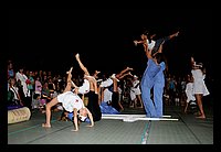 DSC_3086 (Medium).JPG