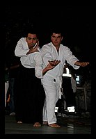 DSC_3109 (Medium).JPG