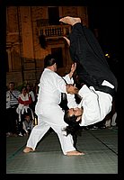 DSC_3112 (Medium).JPG