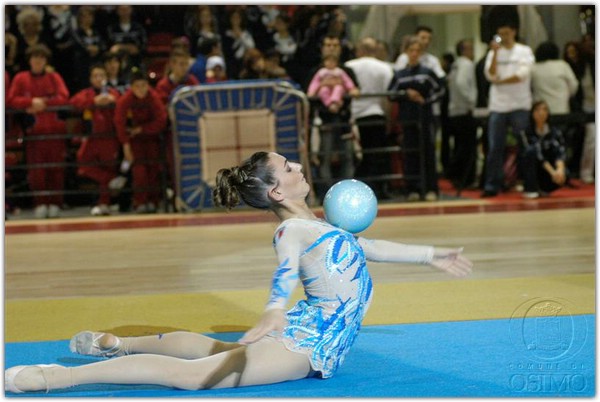 DSC_1825 (Medium).JPG